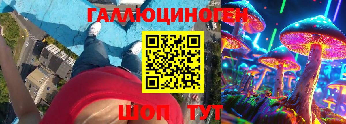 Галлюциногенные грибы Cubensis Владикавказ