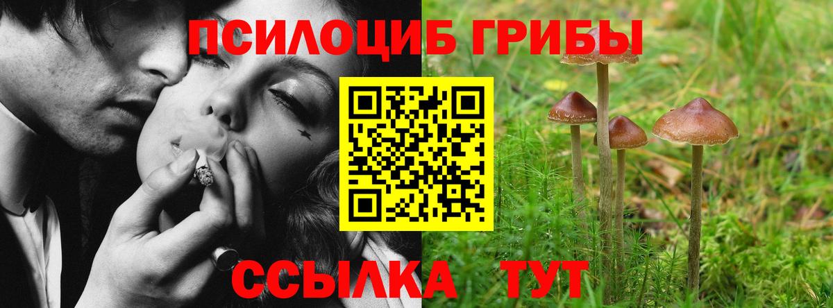 Псилоцибиновые грибы MAGIC MUSHROOMS  Галлюциногенные грибы Psilocybine cubensis  где продают   Владикавказ  Вход с VPN 